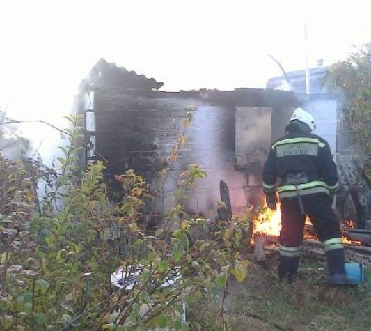 Пожар в Верхнемамонском районе