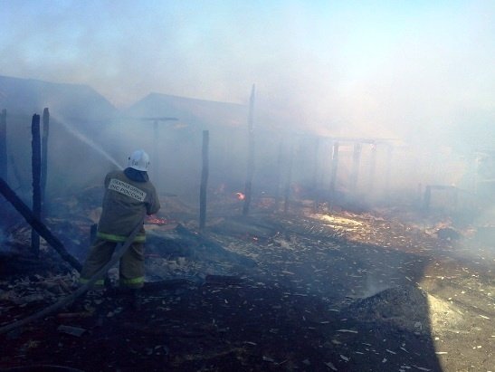 Пожар в Верхнемамонском районе